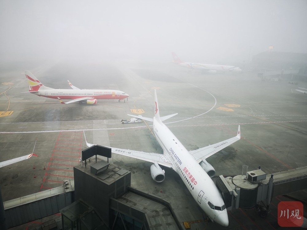 大雾致双流机场大面积延误，系今年入冬以来首次